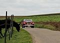 Follow The Leader 2017_(267)